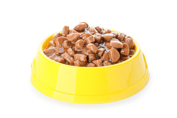 Bowl with pet food on white background