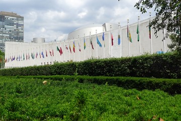 Multiple Counties' Flags in front of the United Nations