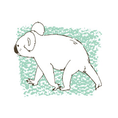 コアラのイラスト　白