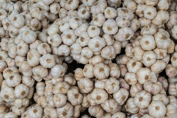 Selective focus Garlic background. 