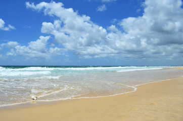 Gentle waves are breaking onto the smooth sand of a beach. A white shell is on the tide line. The sky is blue, with white clouds. Small figures are in the distance.