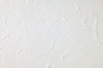 White Mulberry paper background.
