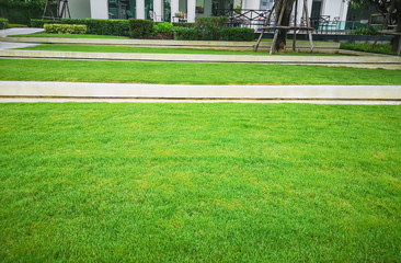 Smooth and fresh green grass lawn as a carpet in garden backyard, good care maintenance landscapes...