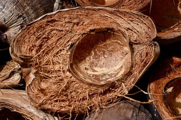 Half of an empty coconut husk.