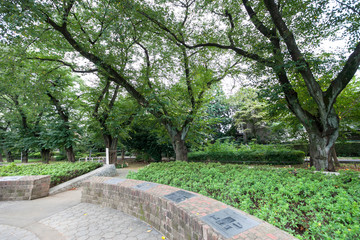 あおぞら公園（東京都西東京市）