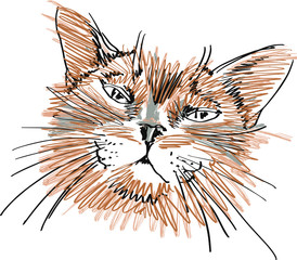 Drawn Little Bit Rowdy-Dowdy Red Cat Series