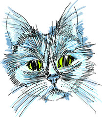 Drawn Little Bit Rowdy-Dowdy Red Cat Series