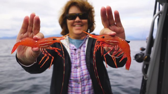 Alaskan seafood, fisherwoman holding spotted shrimp in Alaska