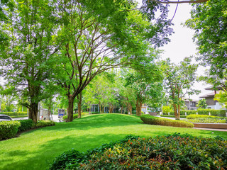 Smooth green grass lawn, greenery trees and shrub in a good maintenance landscape and garden, gray...