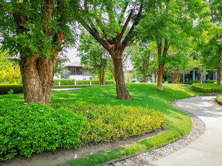 Smooth green grass lawn, greenery trees and shrub in a good maintenance landscape and garden, gray curve pattern walkway, sand washed finishing on concrete paving, brown gravel border