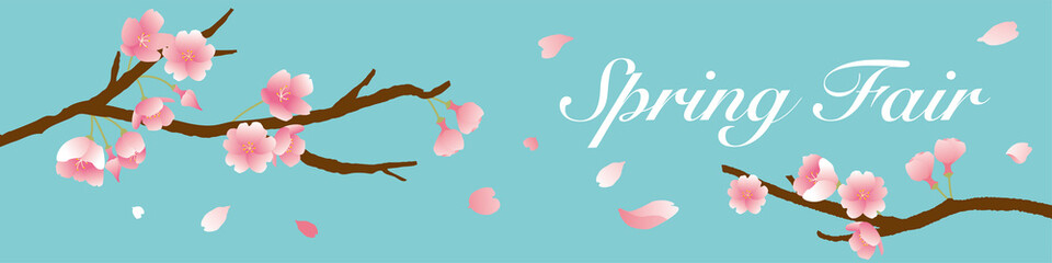 Fototapeta premium 桜 キャンペーン バナー 桜吹雪