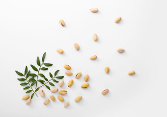 Fototapeta na wymiar Tasty pistachio nuts on light background
