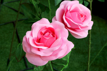 Beautiful artificial pink rose flowers, rose fabric