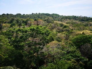 Fototapeta na wymiar Naturerlebnis Dschungel Dschungelstrand Thailand