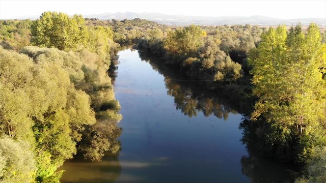 Drone Aerial Romania countryside river trees swamp green fields above autumn