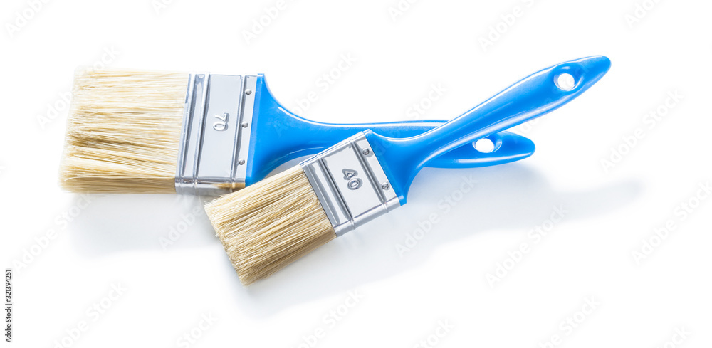 Wall mural two blue paint brushes isolated on white background