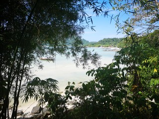 Naturerlebnis Dschungel Dschungelstrand Thailand