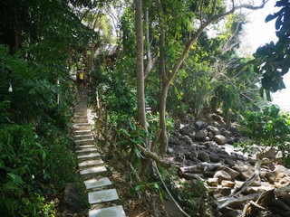 Naturerlebnis Dschungel Dschungelstrand Thailand