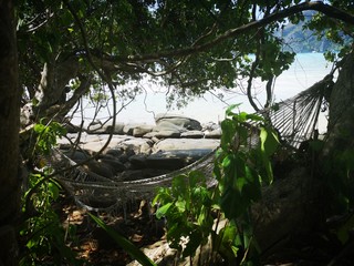 Naturerlebnis Dschungel Dschungelstrand Thailand