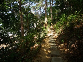 Naturerlebnis Dschungel Dschungelstrand Thailand
