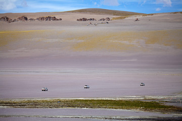 Laguna Grande in the Catamarca Province at Puna de Atacama, Argentina