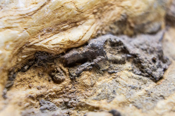 Sandstone with the remains of minerals and clay close-up. Macro photo