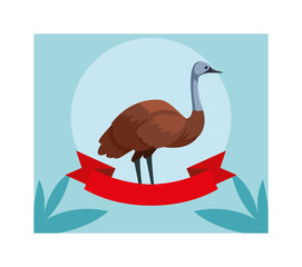 greeting card with australian emu