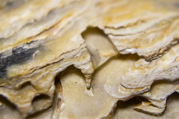 Sandstone with the remains of minerals and clay close-up. Macro photo