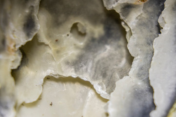 Obraz premium Sandstone with the remains of minerals and clay close-up. Macro photo