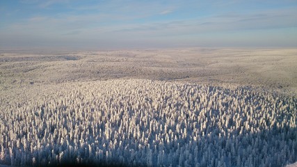 Endless winter taiga to the horizon and the sky with clouds. View from the top of the mountain.