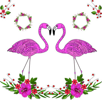 Pair of pink flamingos vector set. Floral frames, vector hibiscus. Elements for designer invitations, cards, prints, etc. For design pink flamingos