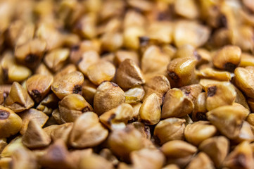 Dried brown buckwheat groats closeup. Macro photo