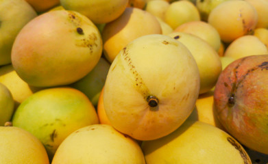 Mango on the market as a background