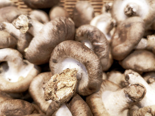 Dried mushrooms on the market as a background