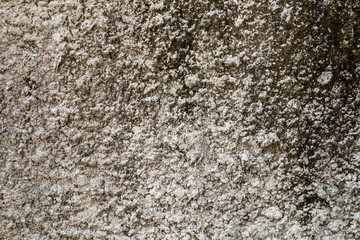 Cement and concrete texture for pattern abstract background.Grunge wall texture.