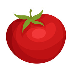 Ripe Tomato Vegetable Isolated on White Background Vector Illustration. Organic Food for Cooking