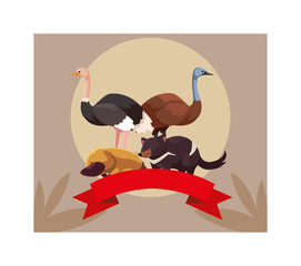 cute card with native animals of australia