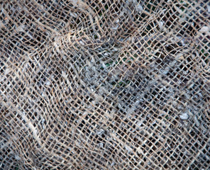 Distress grunge texture of fabric, bag, sack, sac, sackcloth, bagging, sacking.