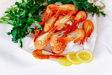 Shrimp on a plate with lemon and dill. White background