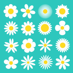 Daisy chamomile icon. White camomile super big set. Cute round flower head plant collection. Love card symbol. Growing concept. Flat design. Green background. Isolated.
