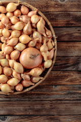 Onion on a old wooden table.