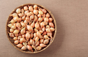 Onion on a table. Top view.