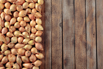 Onion on a old wooden table.