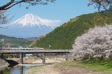 春の富士山と稲瀬川