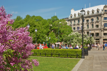 Fototapeta na wymiar Blooming flowers and people enjoying sunny summer day at park in Oslo, Norway