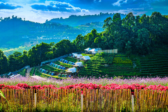 Mountain View At Doi Mon Cham