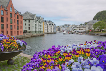 Alesund old town seafront view with Art Nouveau style houses and blooming colorfull flowers