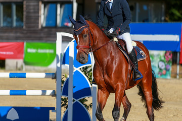 Horse at a jumping tournament with rider in a gallop close-up..