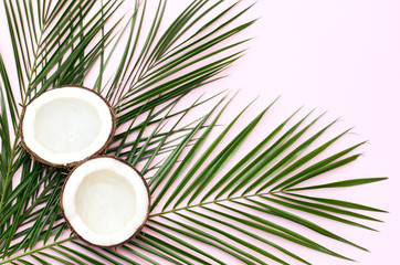 Tropical pink background with palm branches and coconuts.