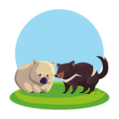 wombat and tasmanian devil over landscape